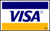 visa payment