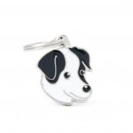 BLACK AND WHITE JACK RUSSELL