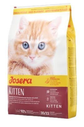 JosiCat Kitten