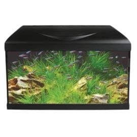 Akvarijum Basic 60 LED