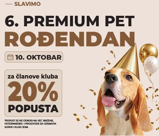Slavimo 6. rođendan – a poklon je za vas! 🎉