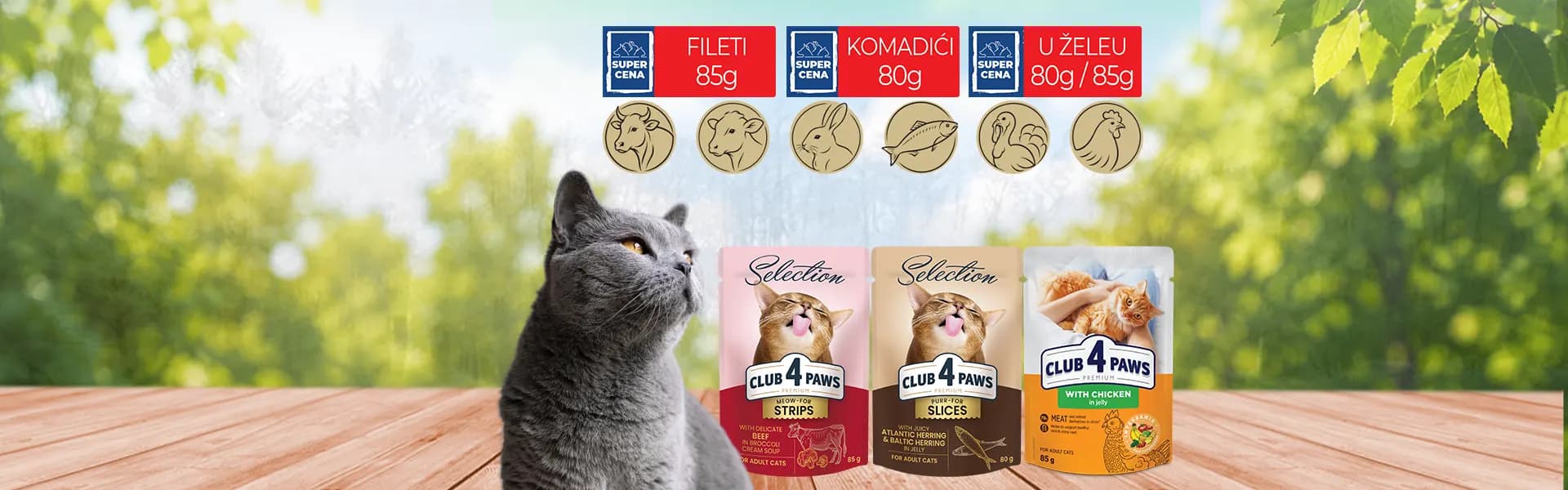 CLUB 4 PAWS
_SUPER CENA_