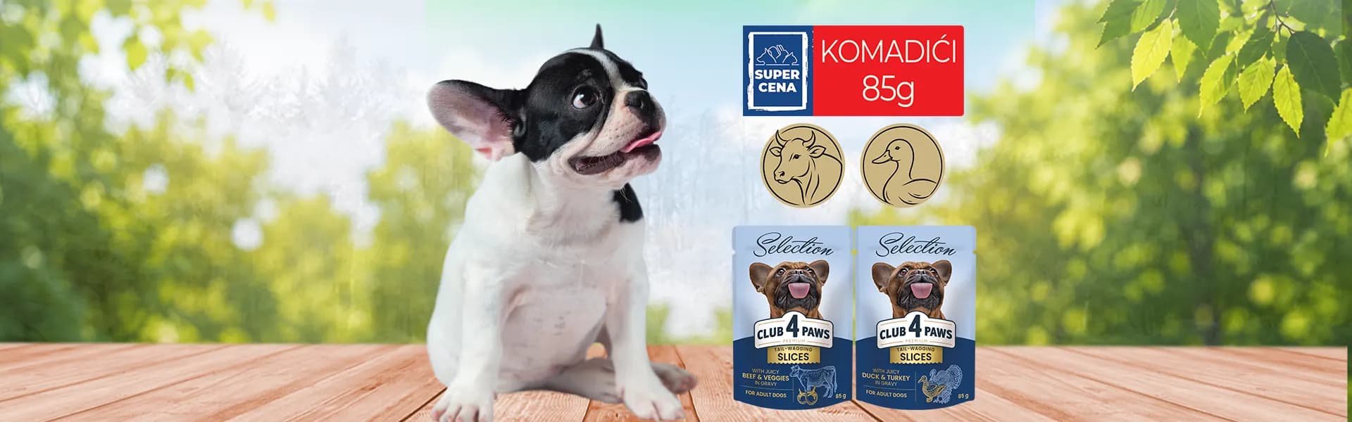 CLUB 4 PAWS
_SUPER CENA_