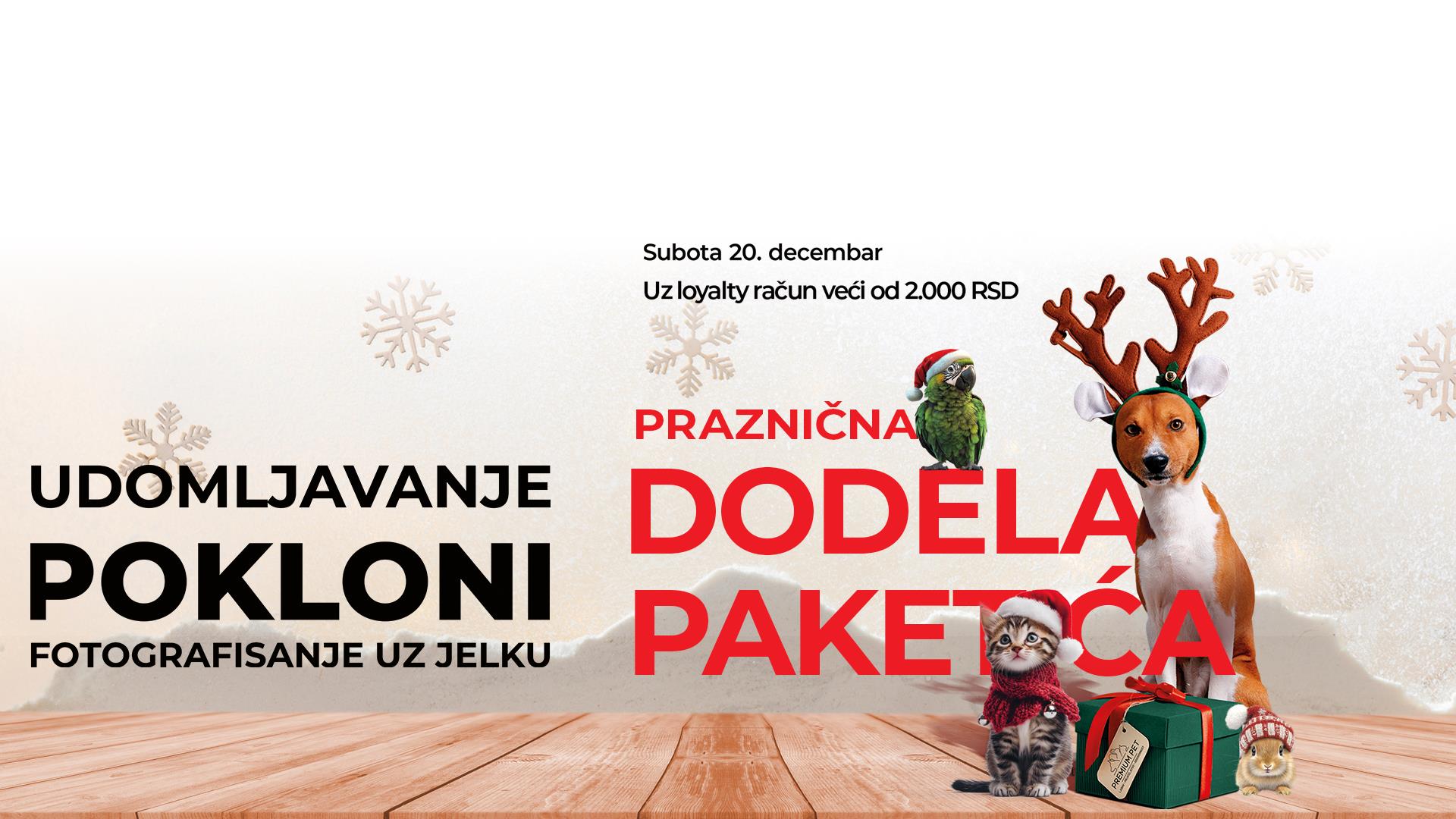 POKLONI, UDOMLJAVANJE, DODELA PAKETIĆA, FOTOGRAFISANJE